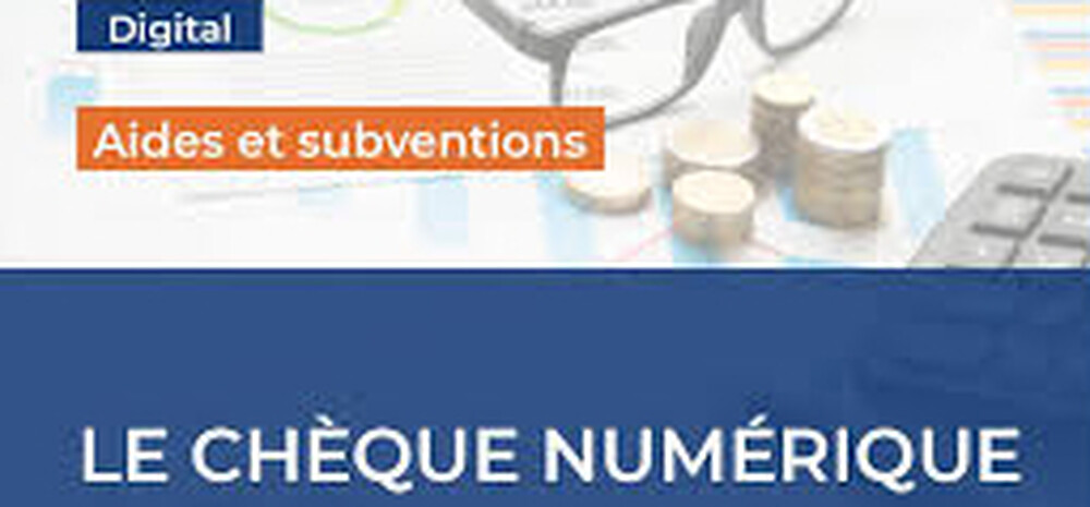 une aide de 500 euros pour les TPE ayant engagé des dépenses de numérisation