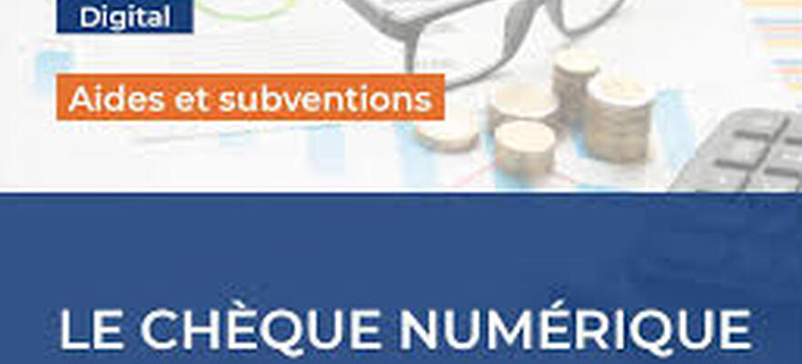 une aide de 500 euros pour les TPE ayant engagé des dépenses de numérisation