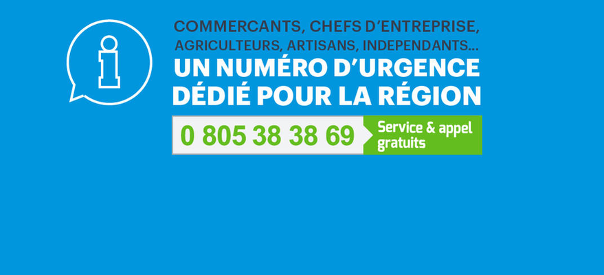 Volet n° 2 de l'aide aux artisans, commerçants et TPE