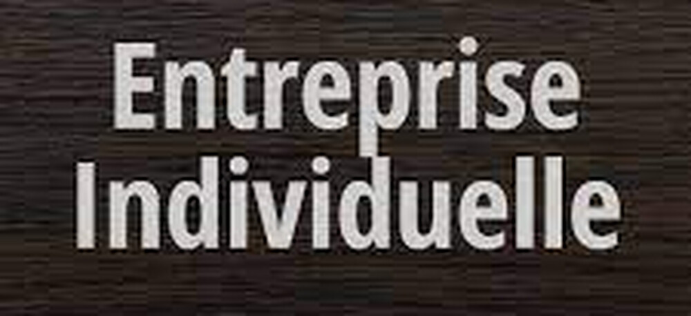 La Nouvelle entreprise Individuelle millésime 2022