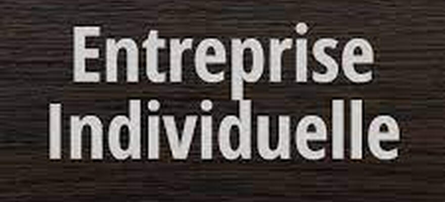 La Nouvelle entreprise Individuelle millésime 2022